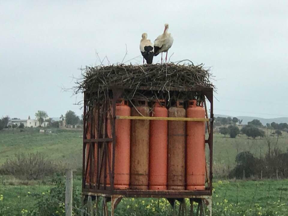 Quinta De Santo Antonio Ac2 Leilighet Lagos Eksteriør bilde