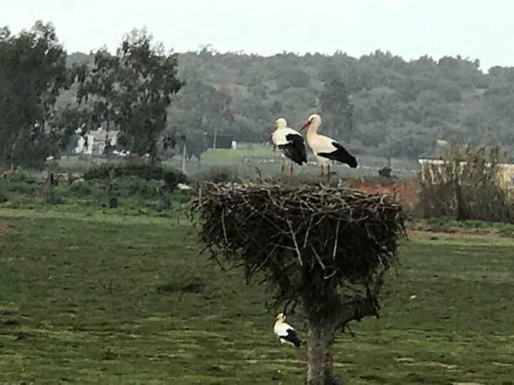 Quinta De Santo Antonio Ac2 Leilighet Lagos Eksteriør bilde
